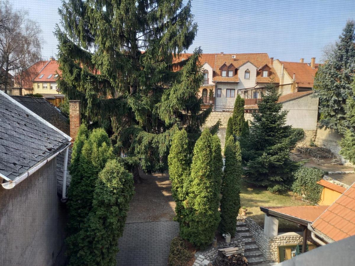Europa Panzio Bed & Breakfast Eger Luaran gambar